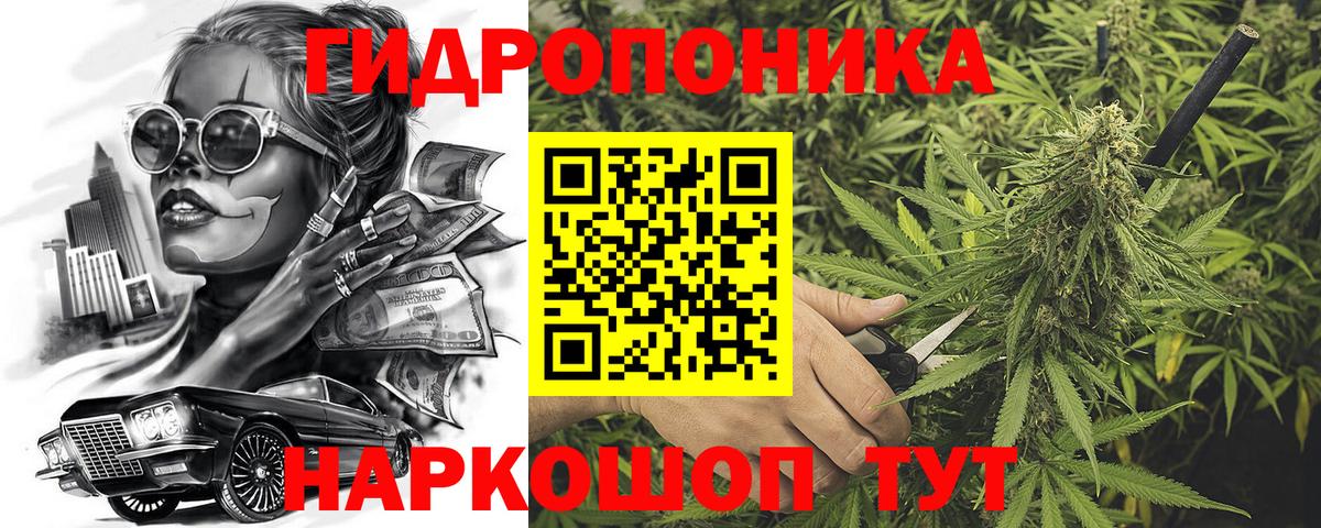 МАРИХУАНА семена  Бошки Шишки планчик  Конопля LSD WEED  Конопля семена  Вход с VPN  Красногорск 
